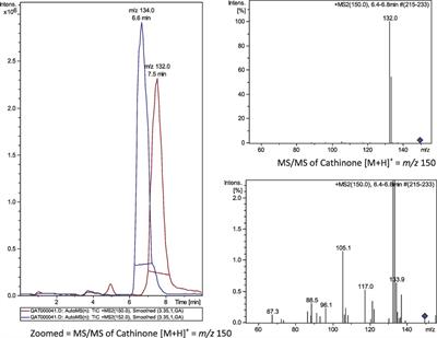 Characterization of the Antinociceptive Mechanisms of <mark class="highlighted">Khat</mark> Extract (Catha edulis) in Mice